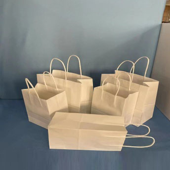The Versatility of Boutique Kraft Paper Bags