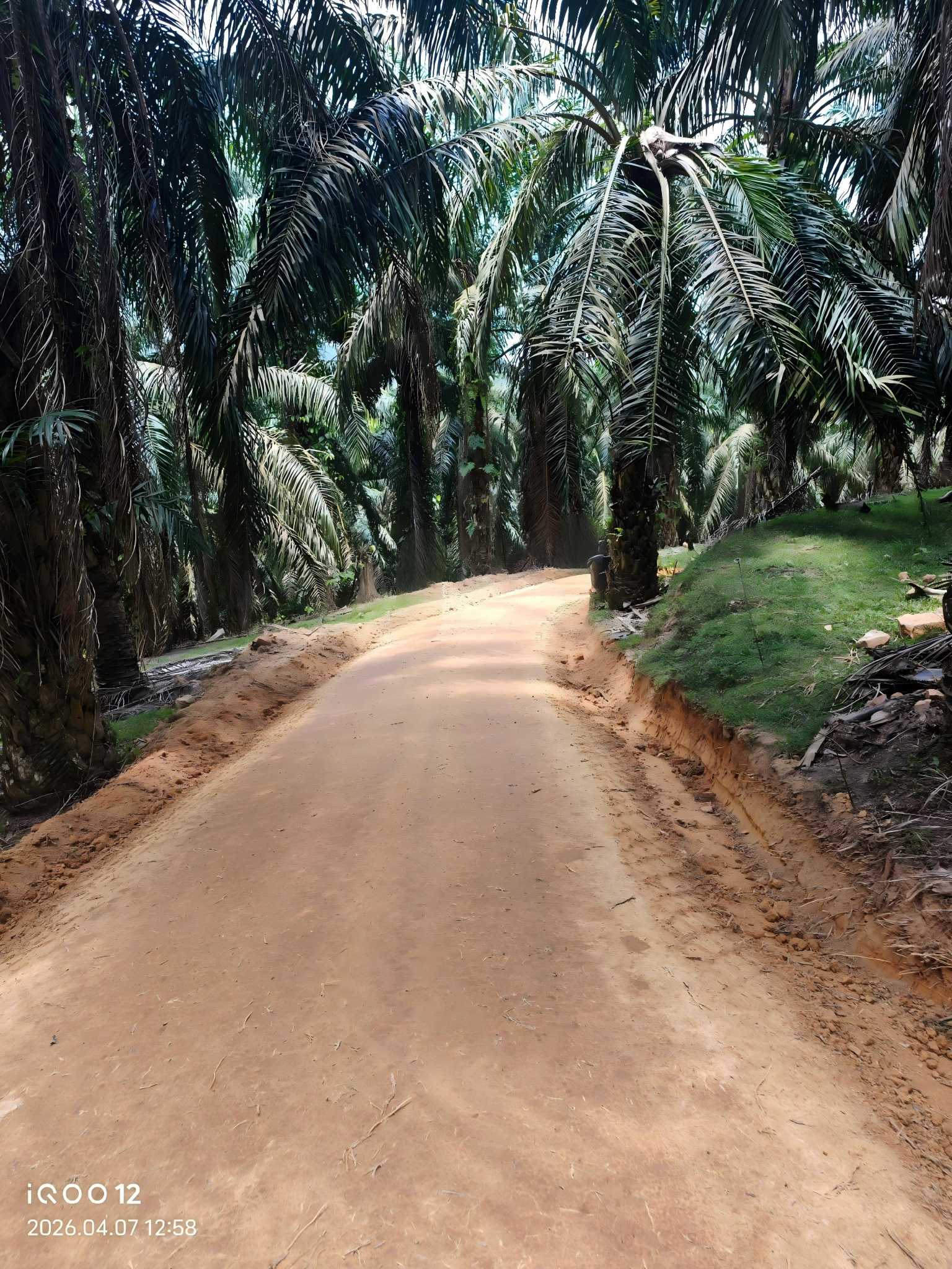 China Polymer Soil Stabilizer: Transforming Road Construction and Erosion Control